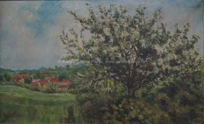  / Rozkvetlá jabloň / Svatopluk Havrlík