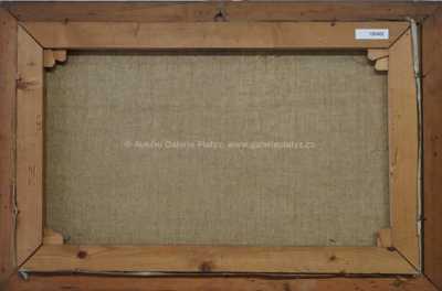  / Rozkvetlá jabloň / Svatopluk Havrlík