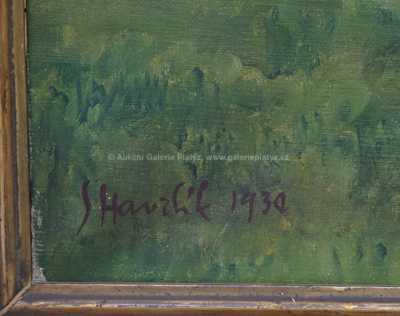  / Rozkvetlá jabloň / Svatopluk Havrlík