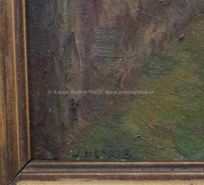  / Slunce v parku /  Josef Holub