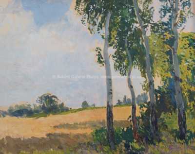  / Břízy u pole / Gustav Macoun