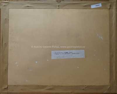  / Na louce / Vojtěch  Sedláček