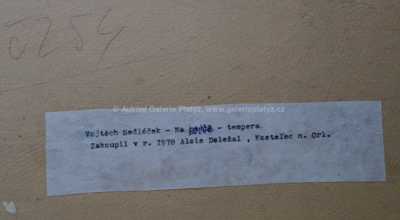  / Na louce / Vojtěch  Sedláček