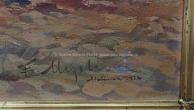  / Mezi ostrovy / František Myslivec