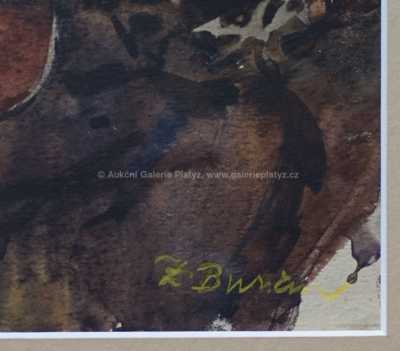  / Kytarista / Zdeněk Burian