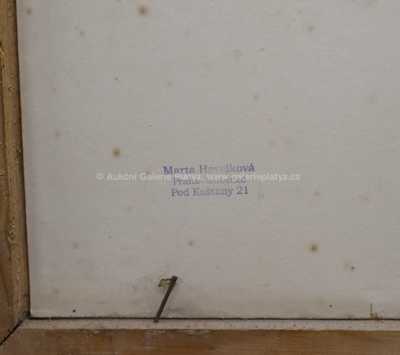  / Pohled do krajiny / Roman Havelka