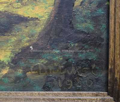  / Kameny v lese / František Drtikol