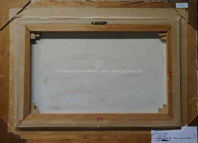  / Spící sad / Zdeněk Hajný