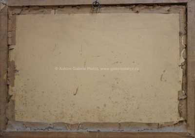  / Roubenka pod sněhem / Antonín  Augusta