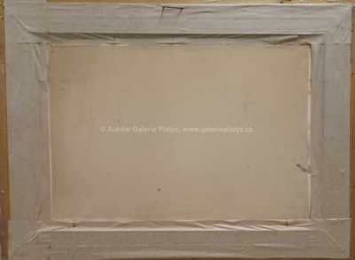  / Břízy u vody / Antonín  Augusta