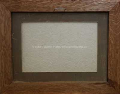  / Krajina / Jiří Valenta