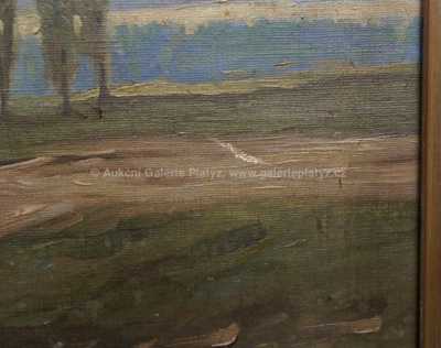  / Po dešti / Josef Mathauser