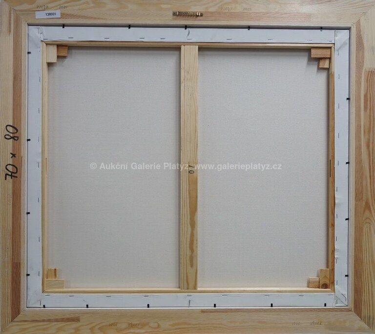  / Wimbledonská trojhra / František Ringo Čech