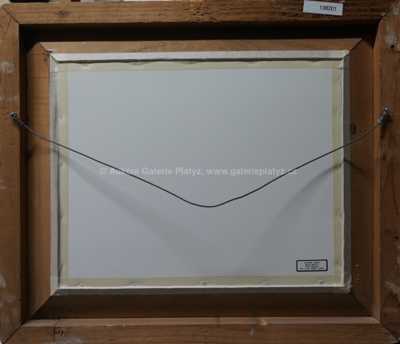  / Krajina s chaloupkou / Ota Bubeníček