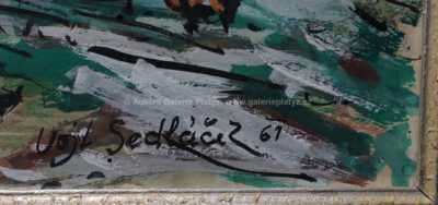  / Zima na samotách / Vojtěch  Sedláček