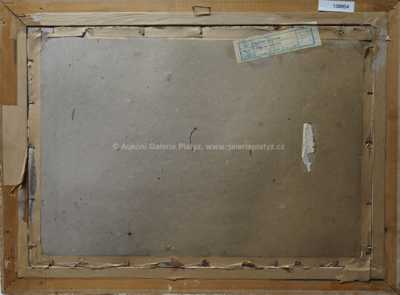  / Zima na samotách / Vojtěch  Sedláček