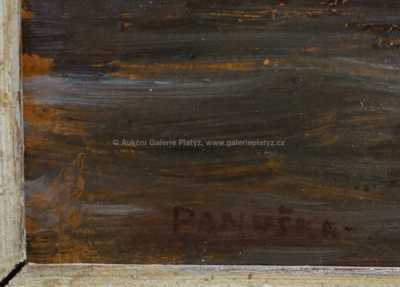  / Hrad pod skálou / Jaroslav Panuška