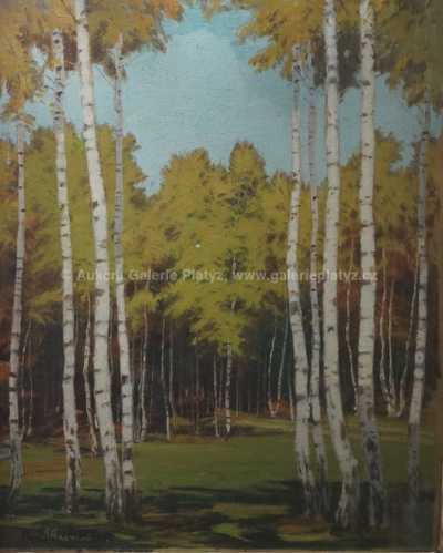  / Březový háj / Karel Schadt