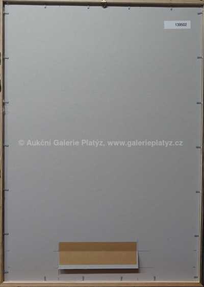  / Černý nosorožec / Andy Warhol