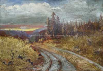  / Lesní motiv / František Daněk - Sedláček