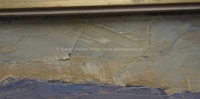  / Hnědá pole / Jaroslav Švihla