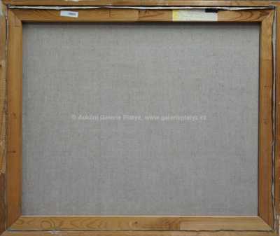  / Hnědá pole / Jaroslav Švihla