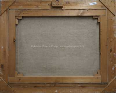  / Beskydy Soláň / Karel Živný