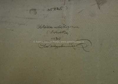  / Ze Svratky / Ota Bubeníček