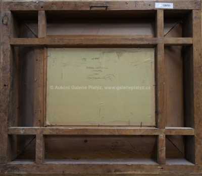  / Ze Svratky / Ota Bubeníček