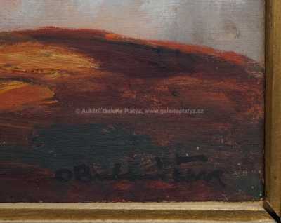  / Ze Svratky / Ota Bubeníček