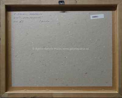  / Duch pohraniční / Zdeněk Burian