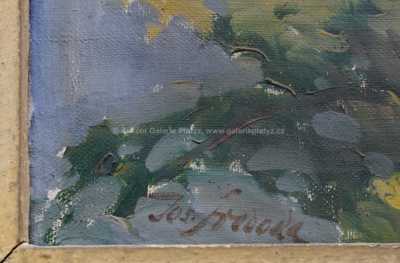  / Pražské panorama / Josef  Svoboda