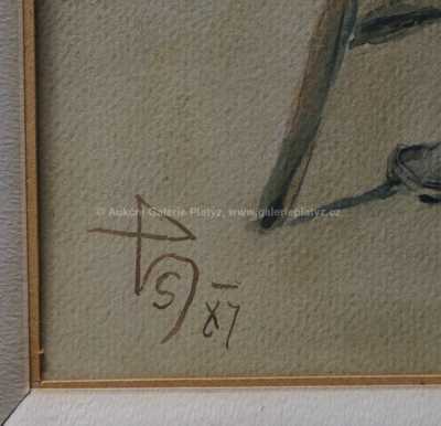  / Tulák / Hanuš Schwaiger