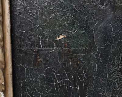  / Noční park / Josef Tomáš Blažek