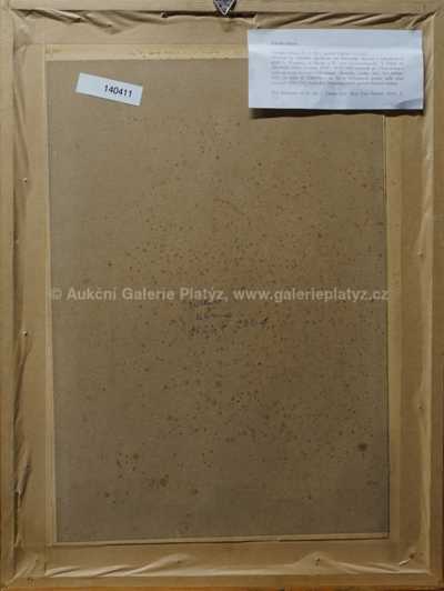  / Starý hudebník / Nikola Mašić