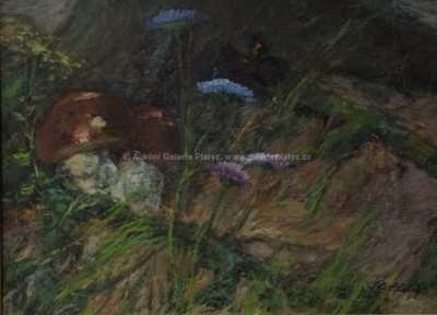  / Podzim / Josef Tomáš Blažek