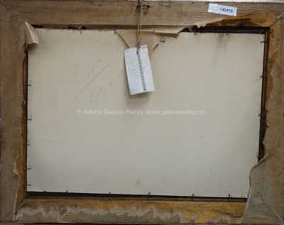  / Břízy u vody / Alois Kalvoda