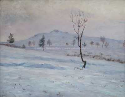  / Mrazivé ráno / František Kaván