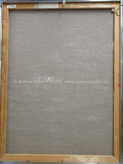  / Na schovávanou / Petr Pavlištík