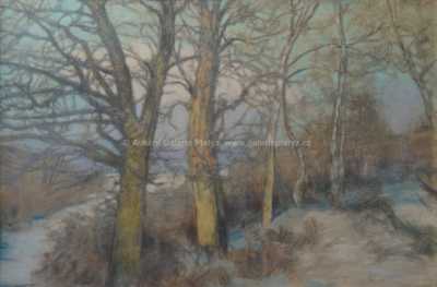  / Stromy ve svahu / Ferdinand Engelmüller