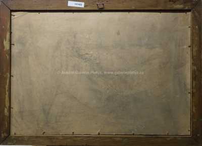  / Stromy ve svahu / Ferdinand Engelmüller