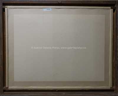  / Stavení pod kopcem / Vojtěch  Sedláček