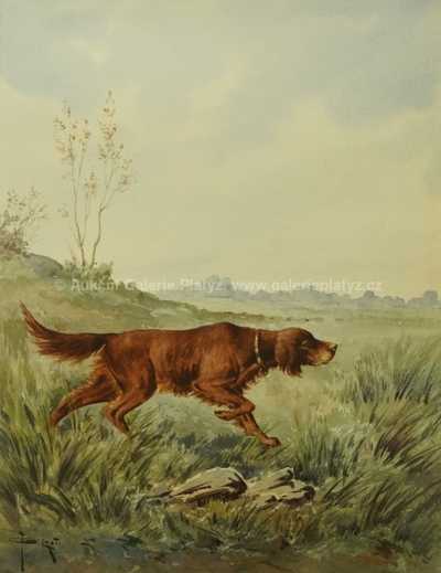  / Na stopě / Francois Joseph Girot