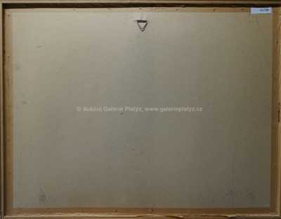  / V aréně / Salvador Dalí