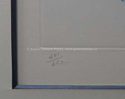  / V aréně / Salvador Dalí