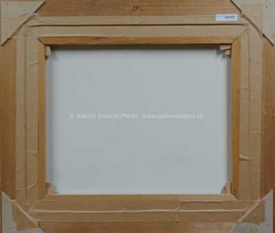  / Krajina zvěstování / Zdeněk Hajný