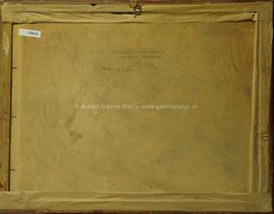  / Vzpomínka na Horní Kalnou / Josef Tomáš Blažek