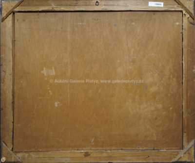  / Malostranské střechy / Jozef Holoubek