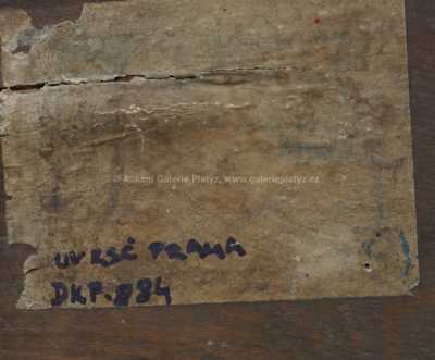  / Shromáždění / Rudolf Tichý