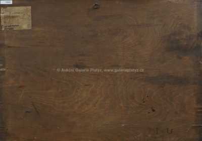  / Shromáždění / Rudolf Tichý